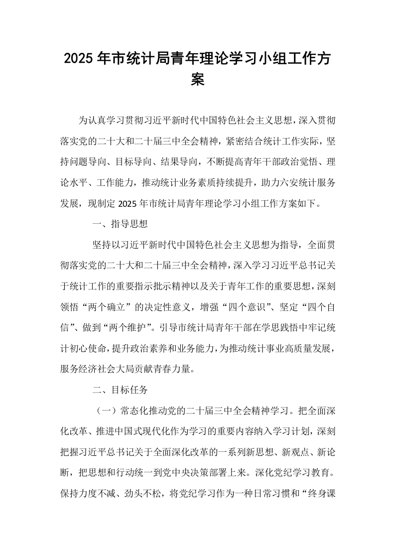 2025年市统计局青年理论学习小组工作方案_第1页