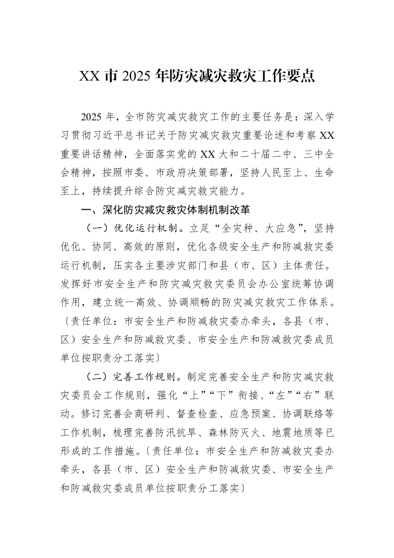 XX市2025年防灾减灾救灾工作要点（3.12）_第1页