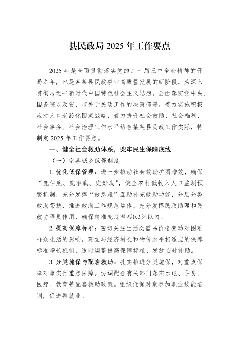县民政局2025年工作要点_第1页