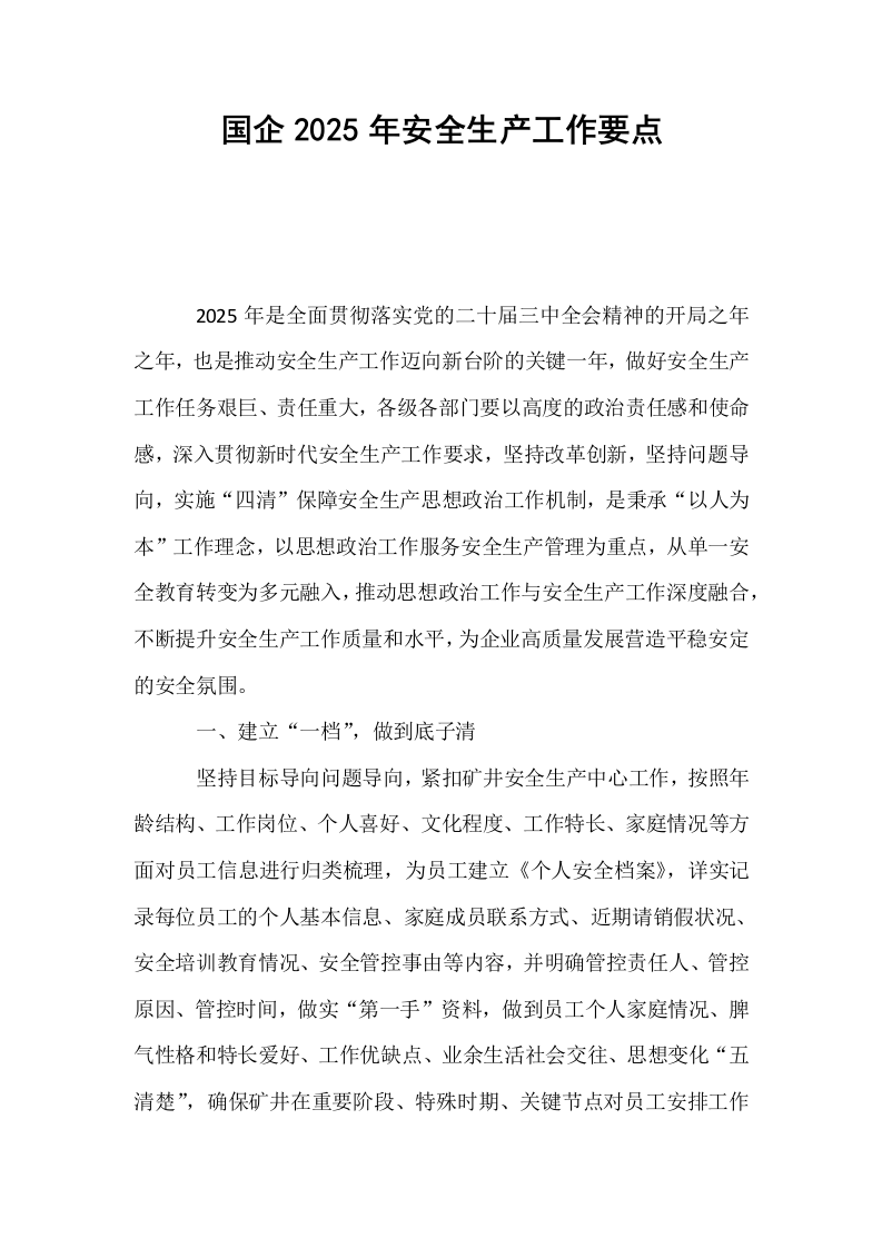 国企2025年安全生产工作要点_第1页