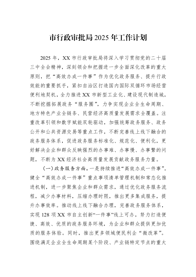 市行政审批局2025年工作计划（20241119）_第1页