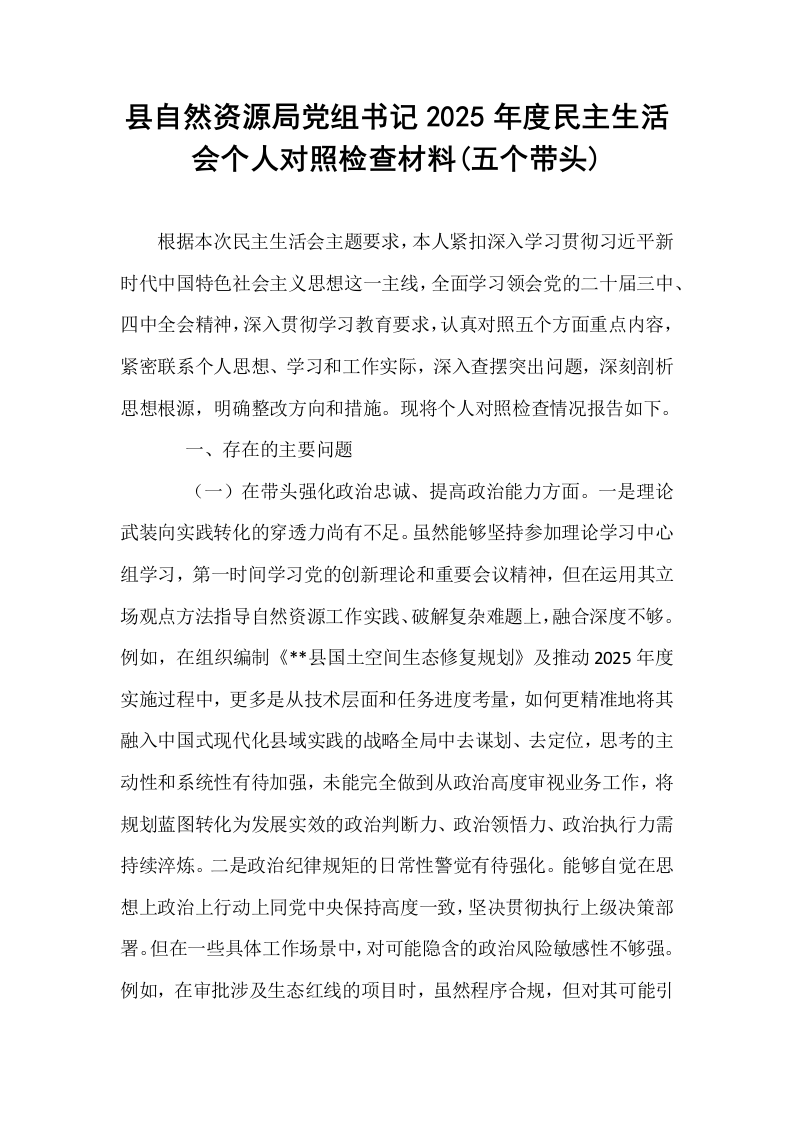 县自然资源局党组书记2025年度民主生活会个人对照检查材料(五个带头)_第1页