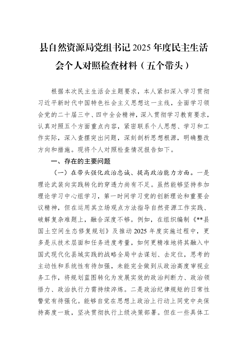 县自然资源局党组书记2025年度民主生活会个人对照检查材料（五个带头）_第1页