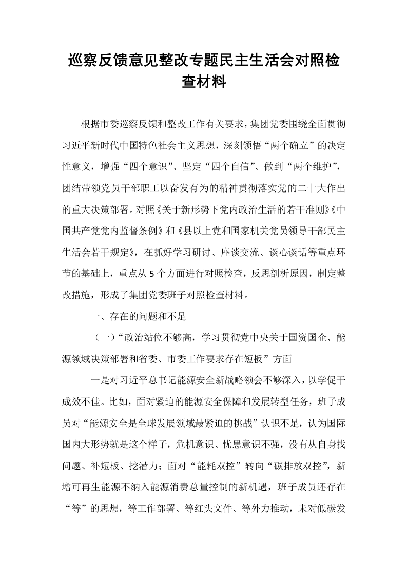 巡察反馈意见整改专题民主生活会对照检查材料_第1页