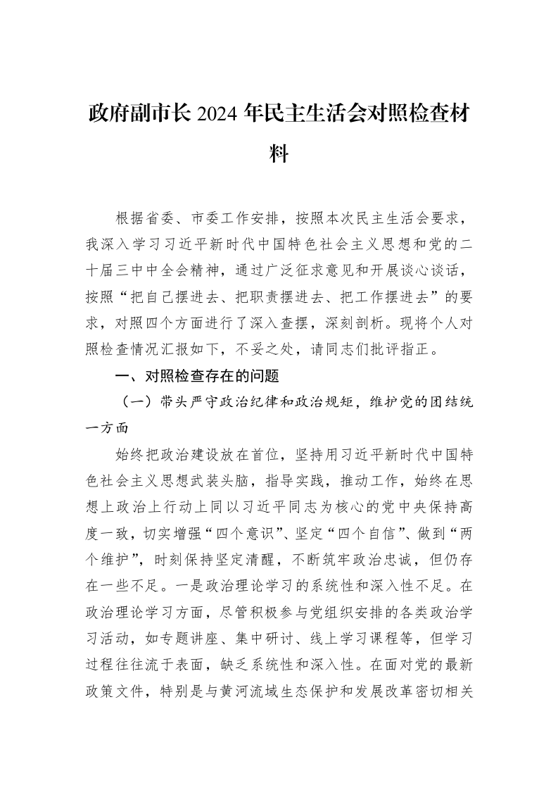 政府副市长2024年民主生活会对照检查材料（2025-02-08）_第1页