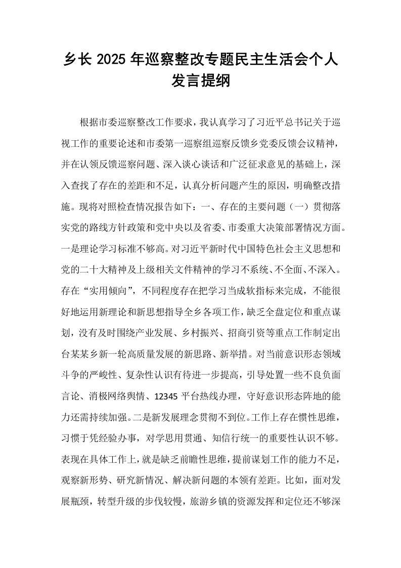 乡长2025年巡察整改专题民主生活会个人发言提纲_第1页
