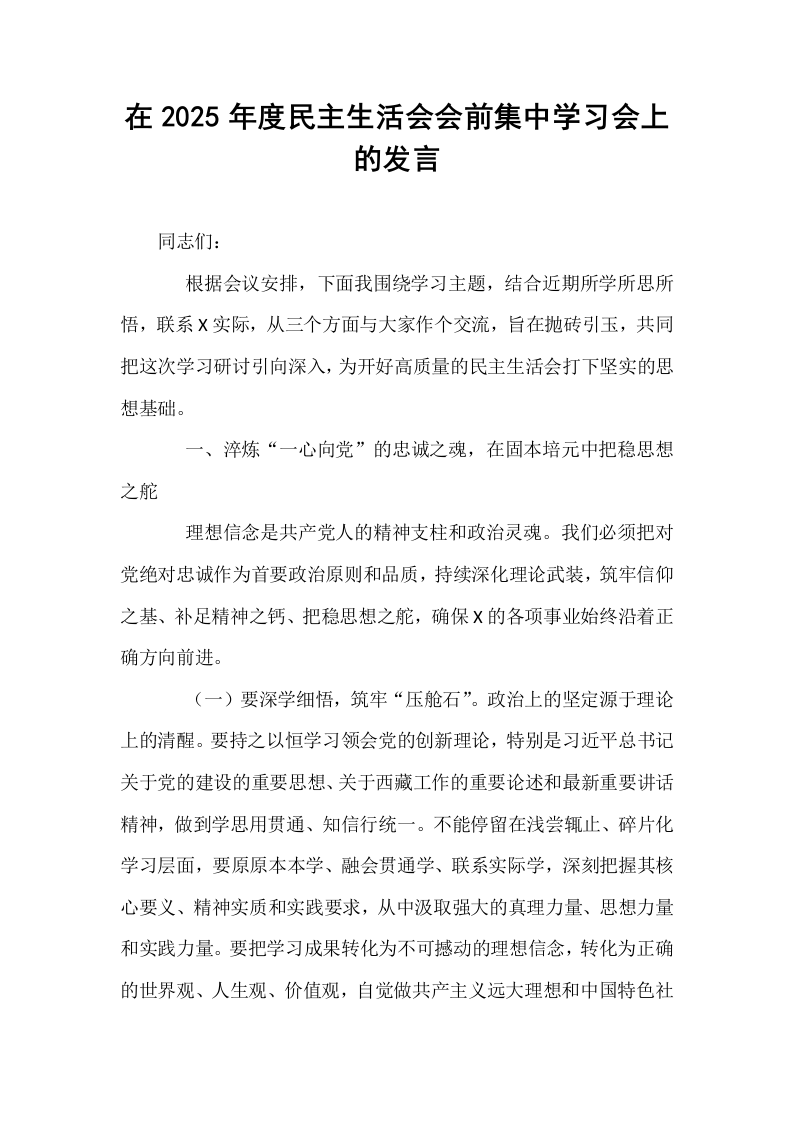 在2025年度民主生活会会前集中学习会上的发言_第1页