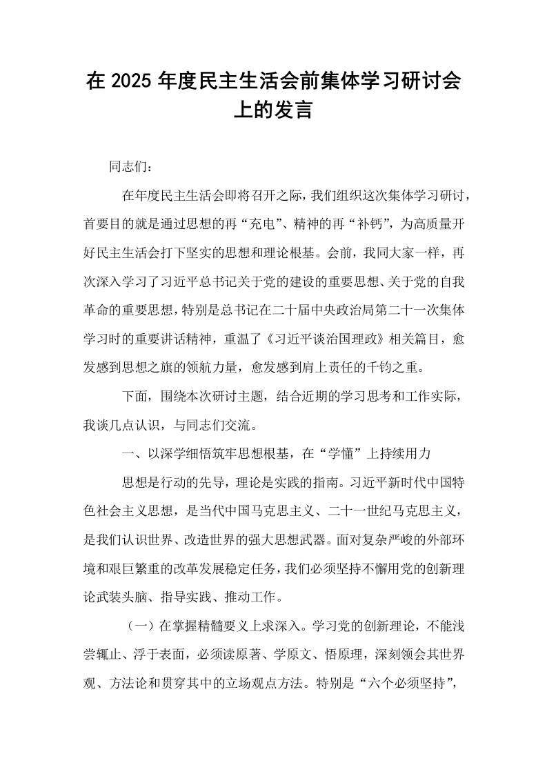 在2025年度民主生活会前集体学习研讨会上的发言_第1页