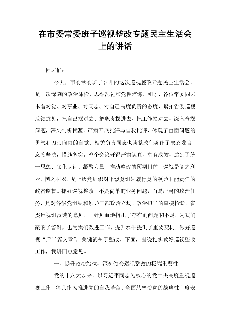在市委常委班子巡视整改专题民主生活会上的讲话_第1页