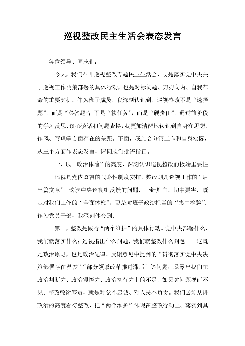 巡视整改民主生活会表态发言_第1页