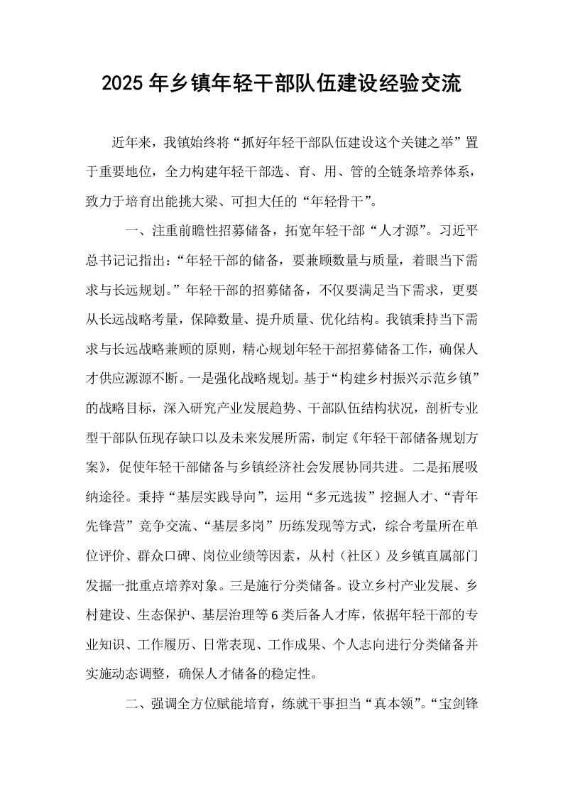 2025年乡镇年轻干部队伍建设经验交流_第1页