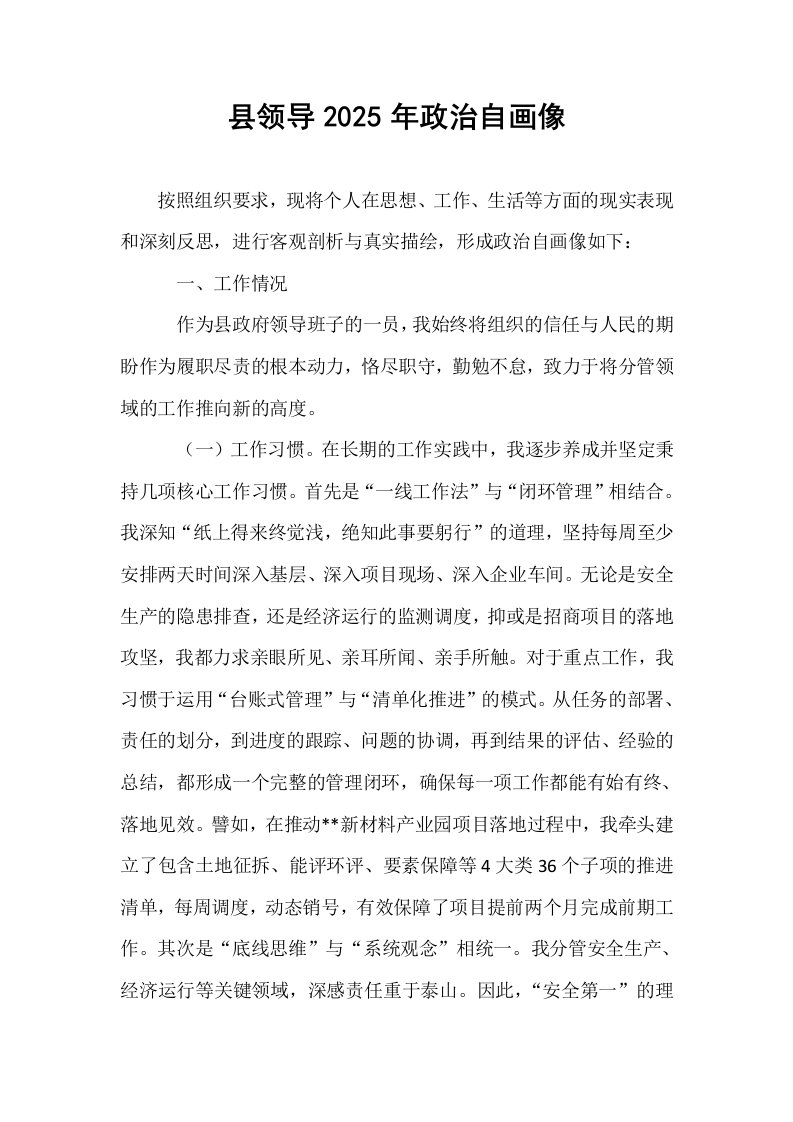 县领导2025年政治自画像_第1页