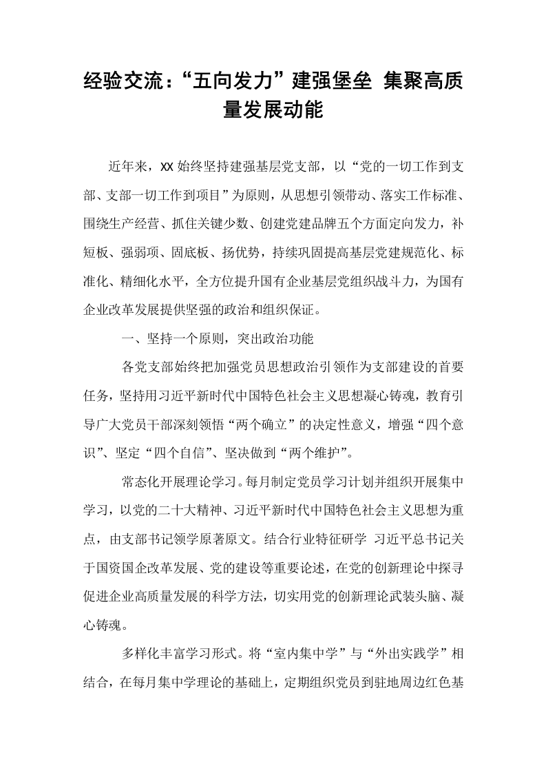 经验交流：“五向发力”建强堡垒 集聚高质量发展动能_第1页