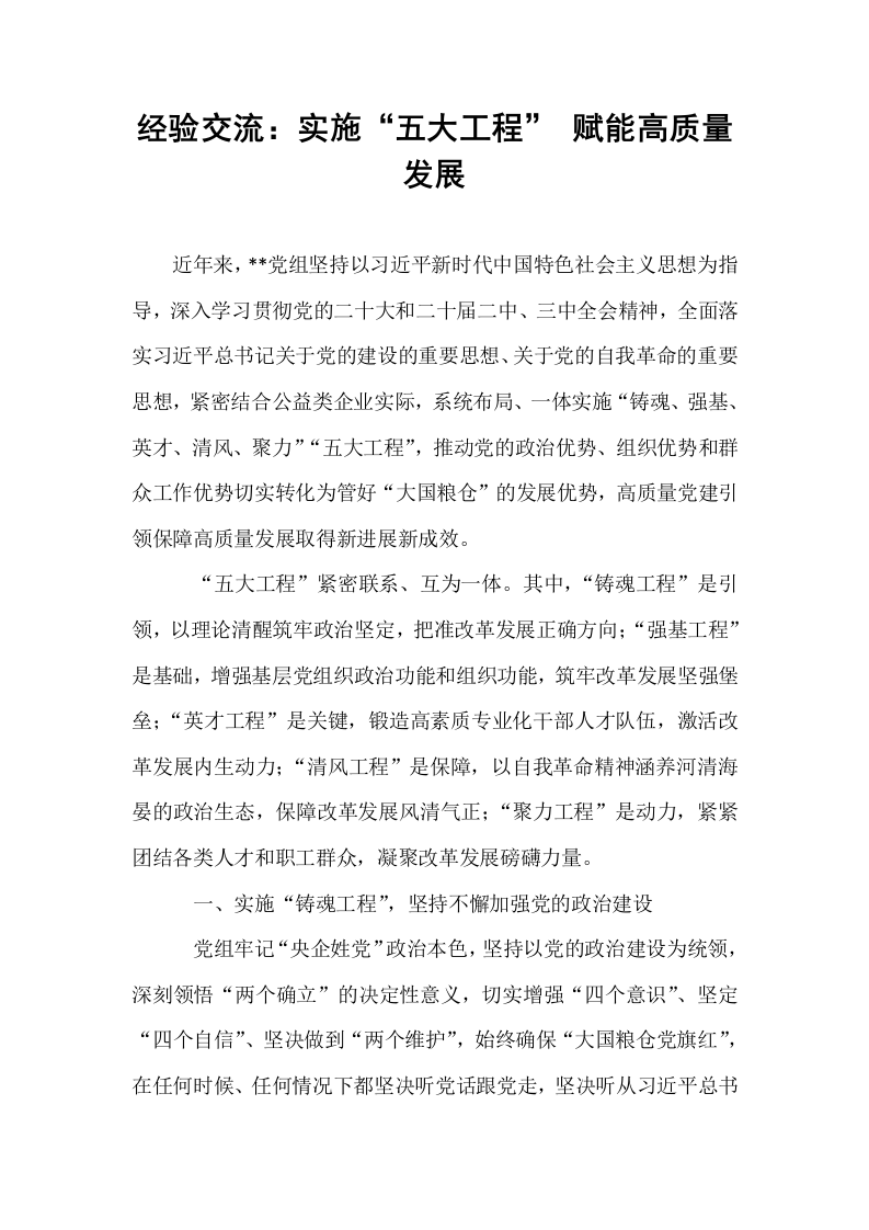 经验交流：实施“五大工程” 赋能高质量发展_第1页