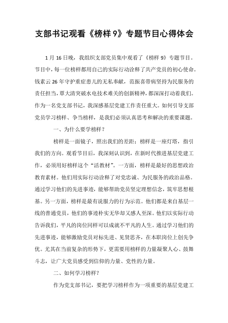 支部书记观看《榜样9》专题节目心得体会_第1页