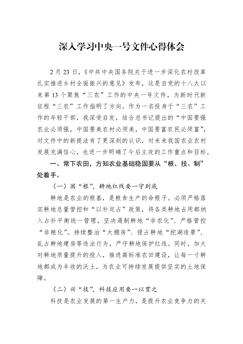 深入学习中央一号文件心得体会（02-28）_第1页
