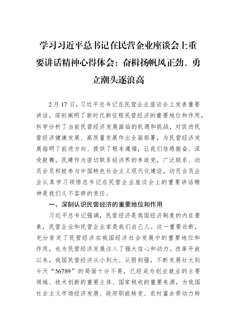 学习习近平总书记在民营企业座谈会上重要讲话精神心得体会：奋楫扬帆风正劲、勇立潮头逐浪高_第1页