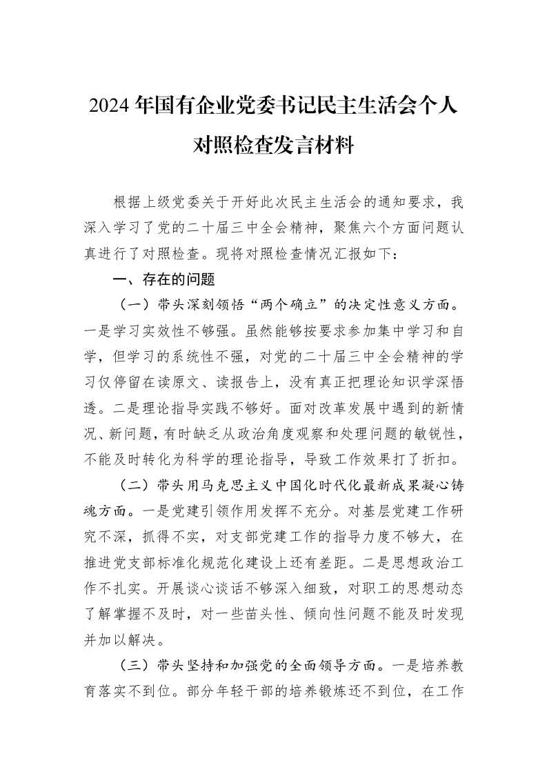 2024年国有企业党委书记民主生活会个人对照检查发言材料_第1页