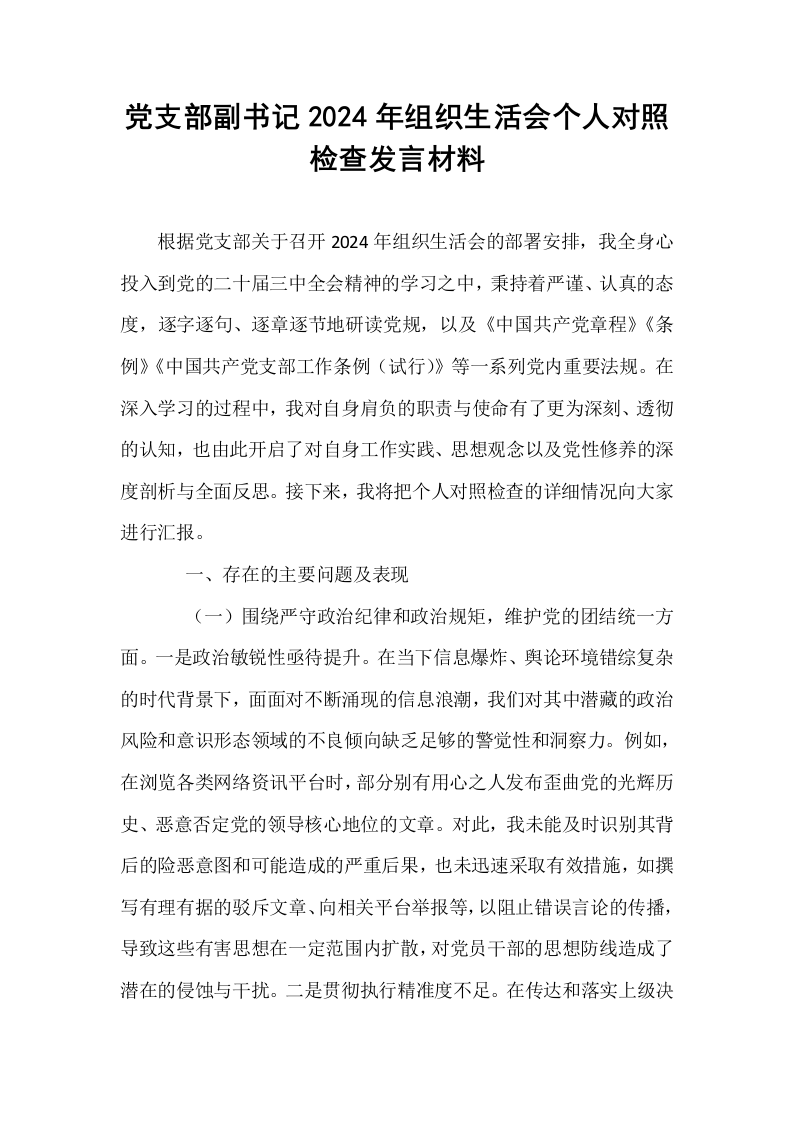 党支部副书记2024年组织生活会个人对照检查发言材料_第1页