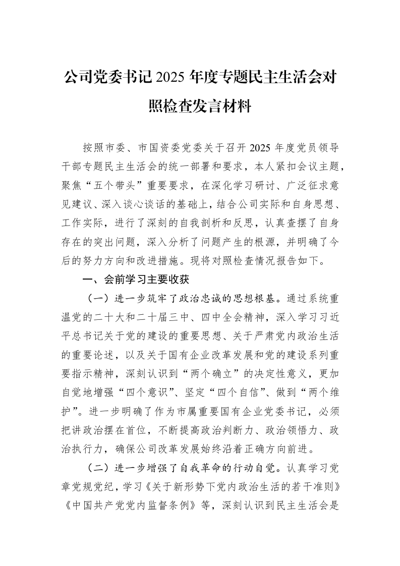 公司党委书记2025年度专题民主生活会对照检查发言材料_第1页