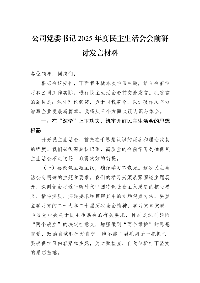 公司党委书记2025年度民主生活会会前研讨发言材料_第1页