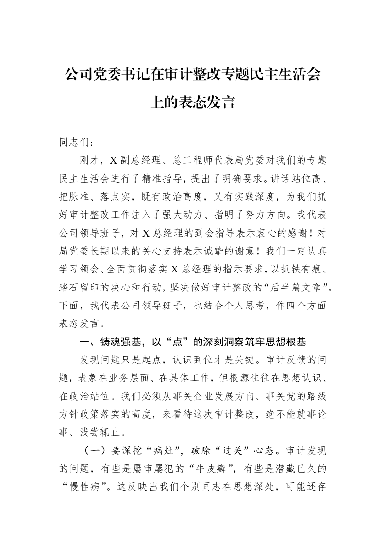 公司党委书记在审计整改专题民主生活会上的表态发言_第1页