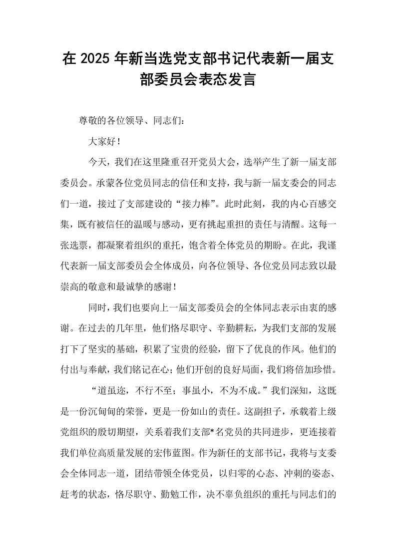 在2025年新当选党支部书记代表新一届支部委员会表态发言_第1页