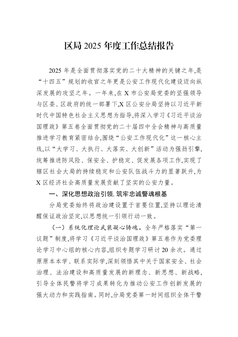 区局2025年度工作总结报告_第1页