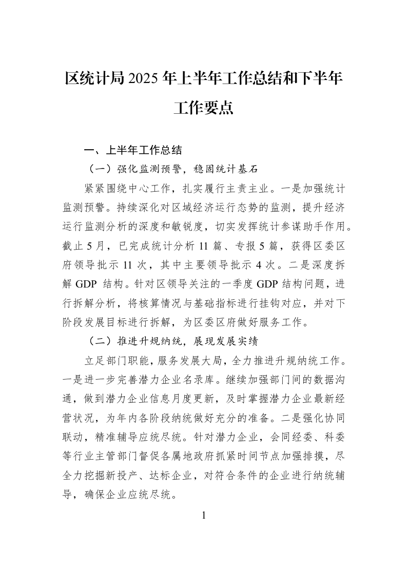 区统计局2025年上半年工作总结和下半年工作要点_第1页