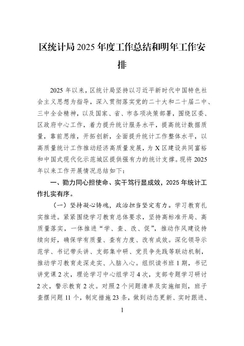 区统计局2025年度工作总结和明年工作安排_第1页