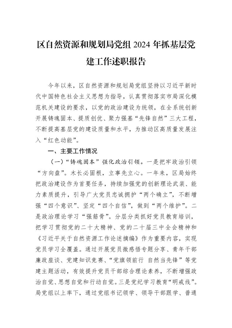 区自然资源和规划局党组2024年抓基层党建工作述职报告_第1页