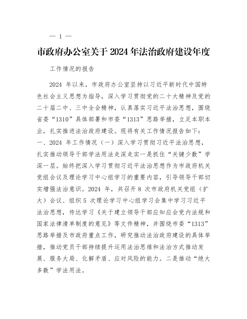 市政府办公室关于2024年法治政府建设年度工作情况的报告_第1页