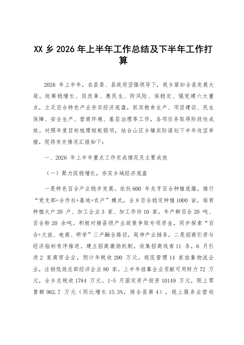 XX乡2026年上半年工作总结及下半年工作打算_第1页