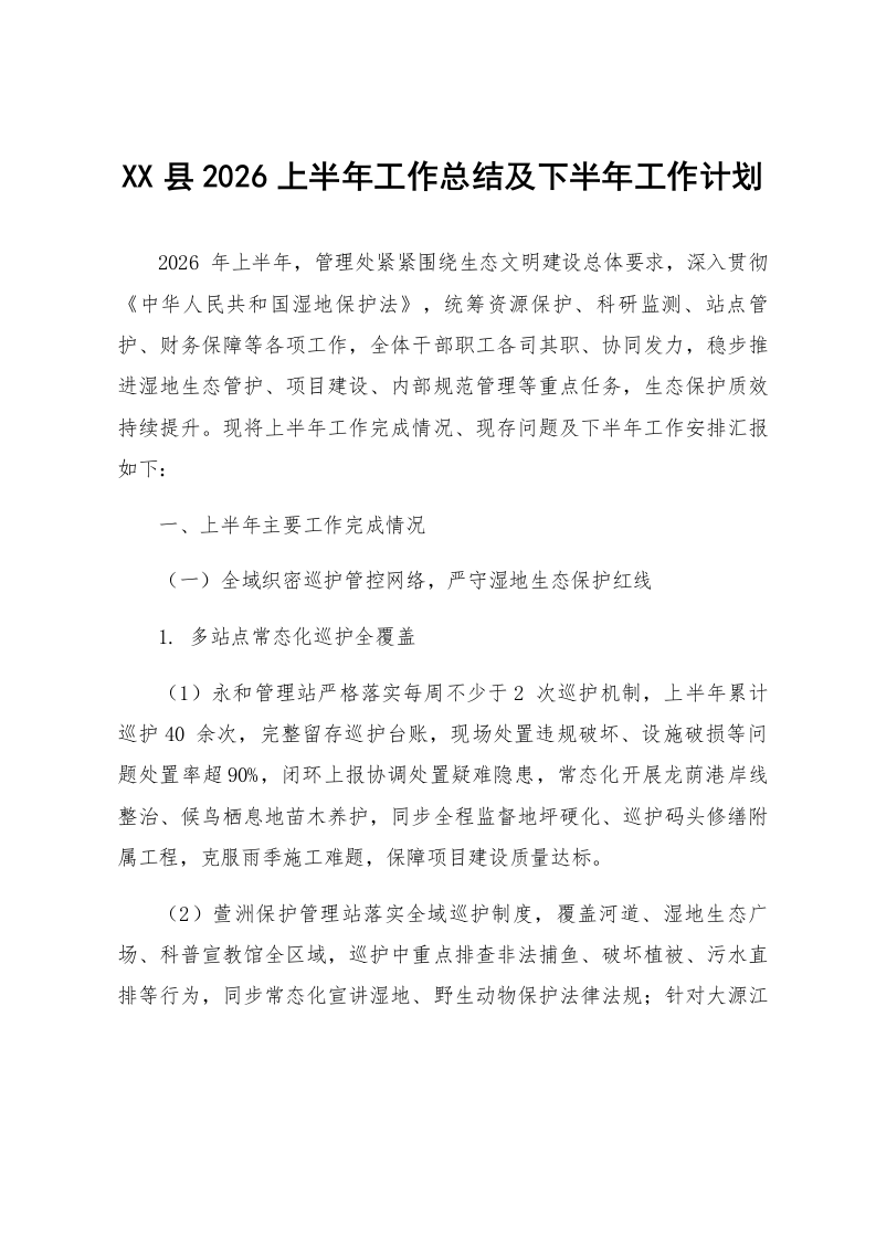 XX县2026上半年工作总结及下半年工作计划_第1页