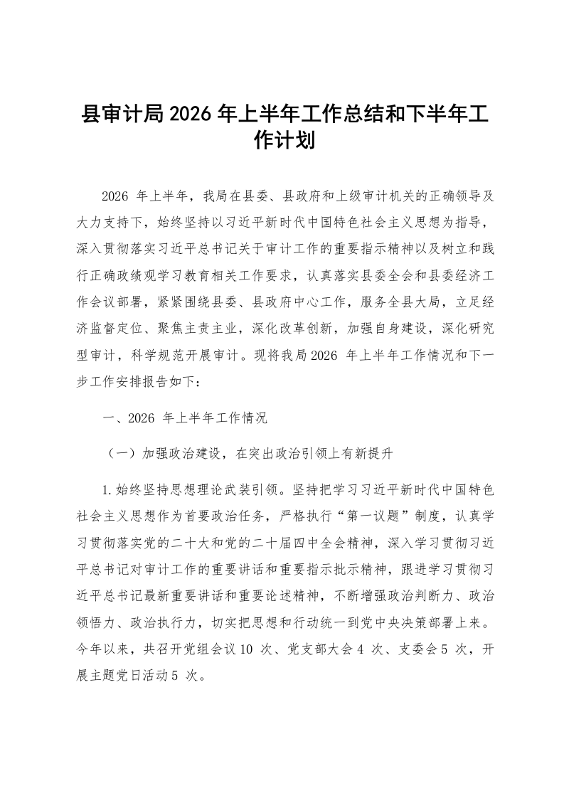 县审计局2026年上半年工作总结和下半年工作计划_第1页