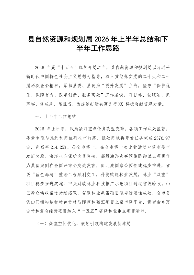 县自然资源和规划局2026年上半年总结和下半年工作思路_第1页
