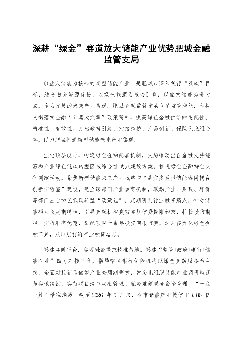 深耕“绿金”赛道放大储能产业优势肥城金融监管支局_第1页